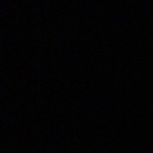 Meet your Posher, Rose